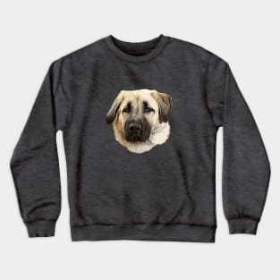 Kangal Shepherd Dog Crewneck Sweatshirt